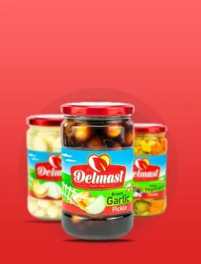Delmast Pickles Category