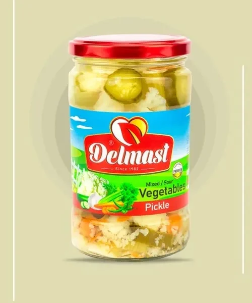 Premium Mixed Salty Vegetables Pickle Manufacturer