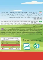 Delmast White Garlic Pickle Info