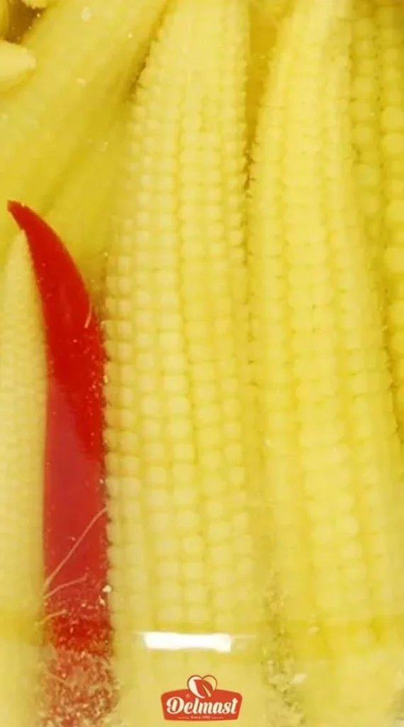 Iran Baby Corn Pickle