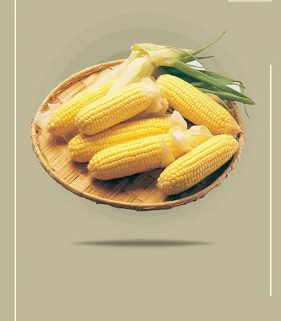 Premium Baby Corn Pickle Supplier