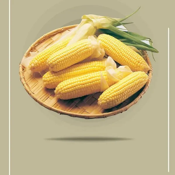 Premium Baby Corn Pickle Supplier