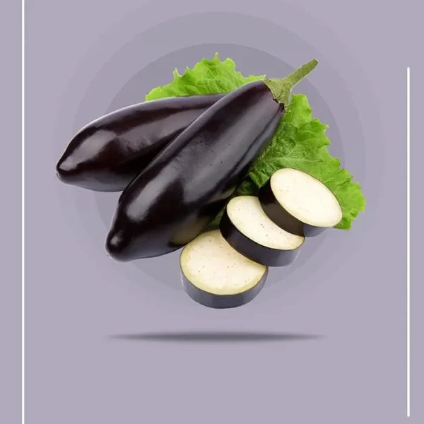 Premium Eggplant Pickle Supplier