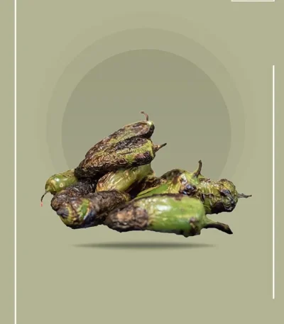Premium Grilled Jalapeno Pickle Manufacturer