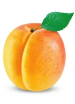 Pure Apricot Jam Supplier