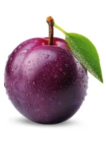 Pure Black Plum Jam Supplier