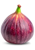 Pure Fig Jam Supplier