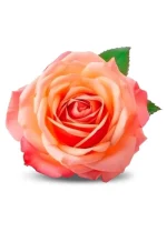 Pure Rose flower Jam Supplier