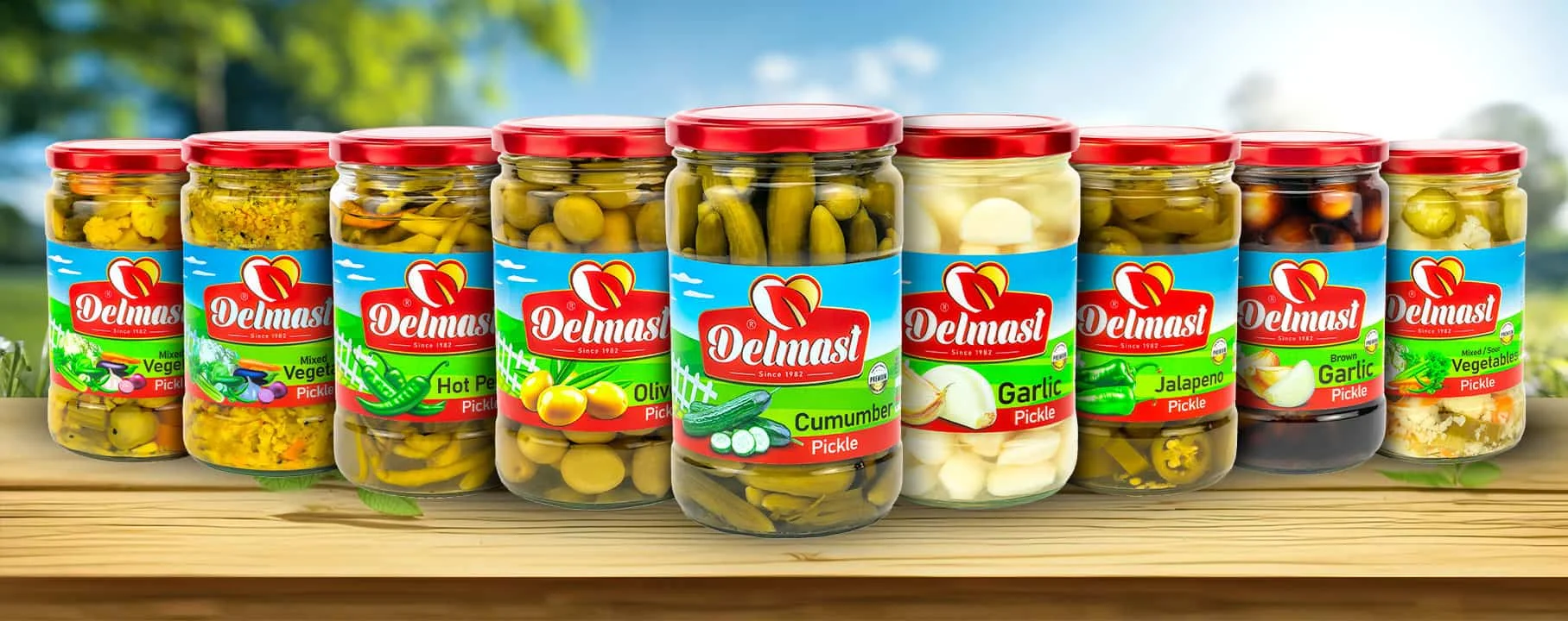 Delmast Premium Pickles Variety