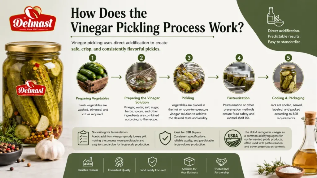 How Does the Vinegar Pickling Process Work?